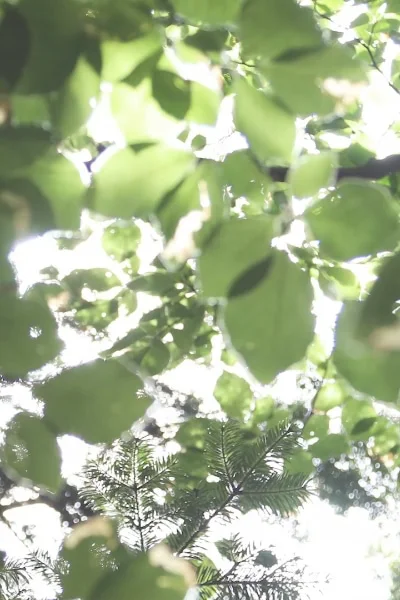 Ethical and sustainable